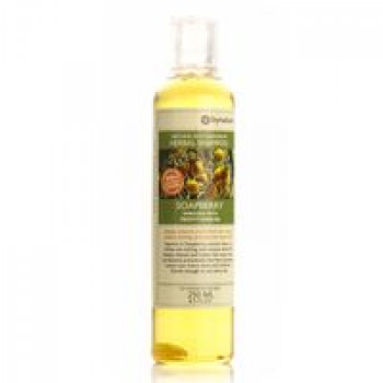 Органический шампунь  для волос SOAPBERRY SHAMPOO с Сапиндусом и витамином В5 от зуда и перхоти