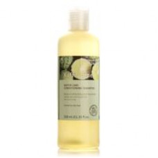 Органический антибактериальный шампунь с киффир-лаймом Bynature 320 мл/Bynature kaffir lime conditioning Shampoo 320 ml