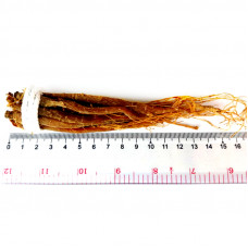 Сухие корни 6ти летнего красного корейского женьшеня 30 грамм / Dry roots of 6 years old red Korean ginseng 30 grams