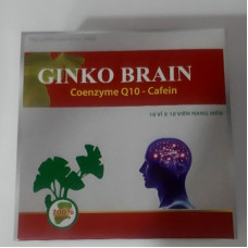 Капсулы Ginko Brain 100 капсул / Ginko Brain 100 pills