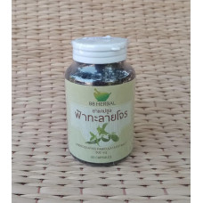 Травяные капсулы от противовирусных заболеваний фа талай 60 капсул / 88 Herbs andrographis paniculata extract 500 mg 60 caps