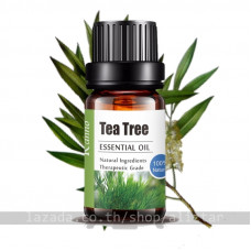 Эфирное масло чайного дерева канно 10 мл / Kanno Tea Tree Essential Oil 10ml