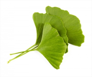 Гинкго билоба, 500мл. / Gingko biloba, 500 ml.